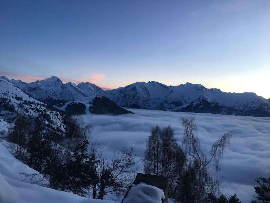Montagnard Vue Splendide Alpe D Huez Les Passeaux