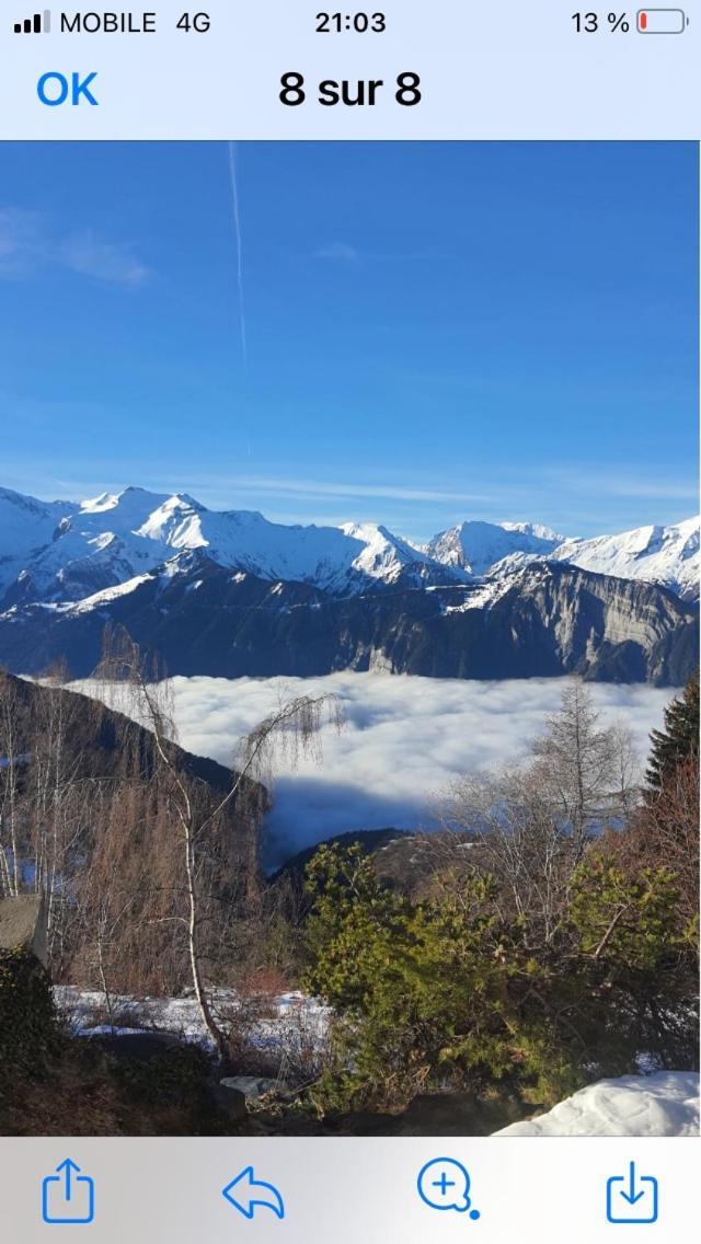 Montagnard Vue Splendide Alpe D Huez Les Passeaux
